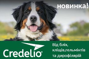 Новинка на ринку України: Credelio для котів та Credelio Plus для собак – надійний захист від паразитів для Ваших пухнастиків! фото
